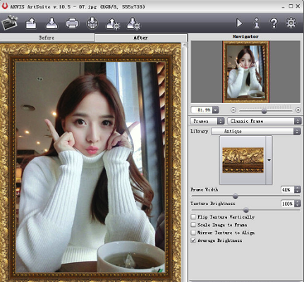 AKVIS ArtSuite截图