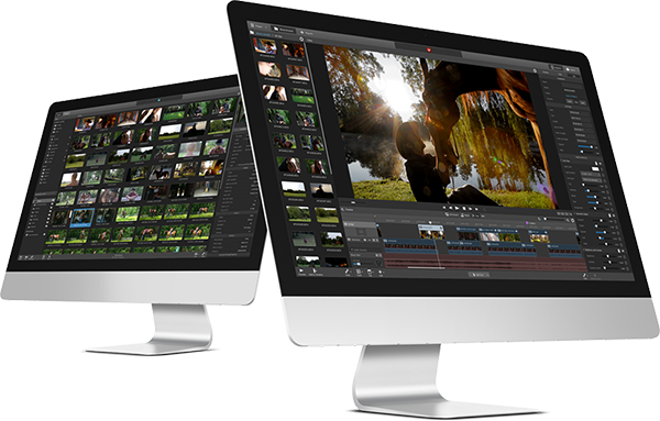 Catalyst Production Suite截图