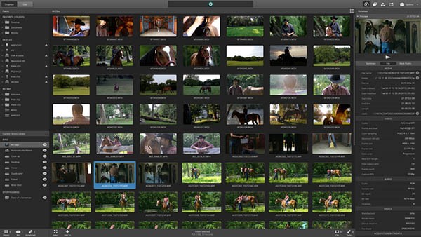 Catalyst Production Suite截图