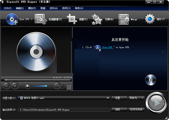 Bigasoft DVD Ripper截图