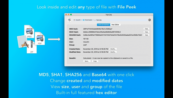 File Peek截图