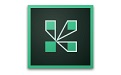 Adobe Connect