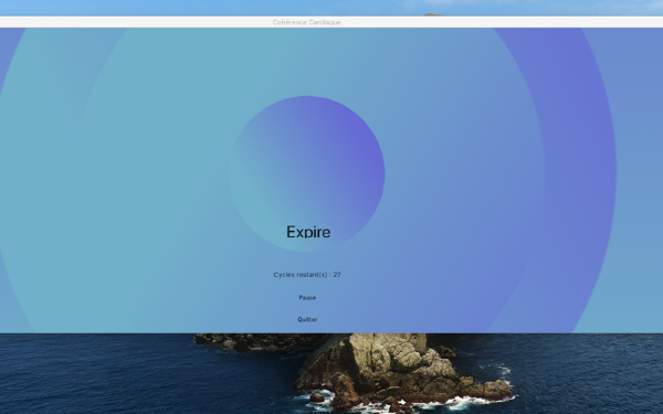 心脏连贯性截图
