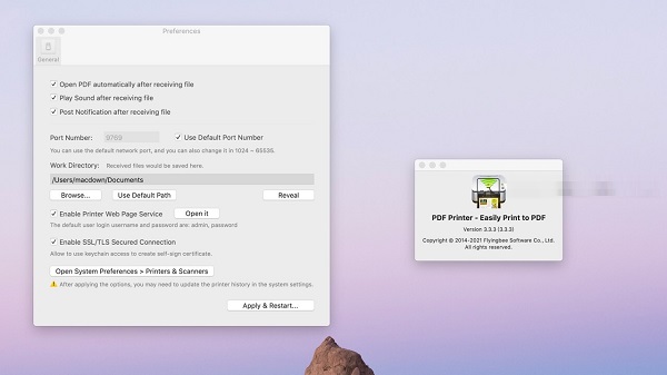 PDF Printer Easily Print to PDF截图