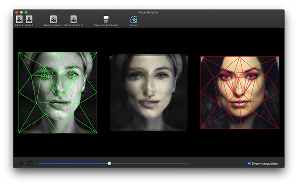 Face Morpher截图