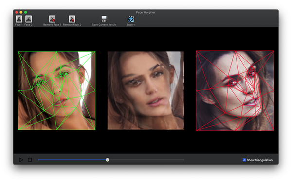Face Morpher截图