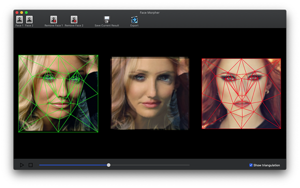 Face Morpher截图