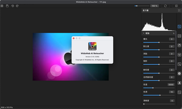 WidsMob AI Retoucher截图