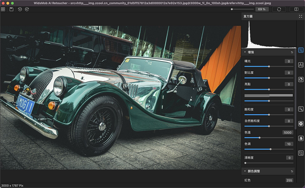 WidsMob AI Retoucher截图