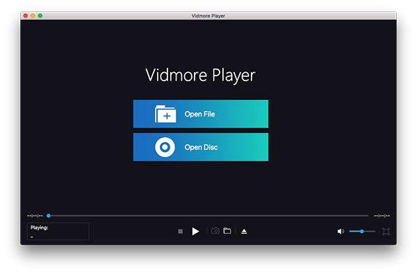 Vidmore Player截图