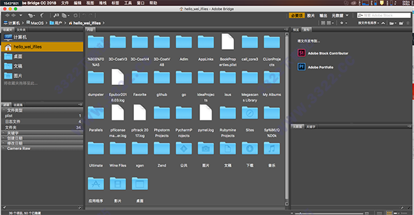 Adobe Bridge CC 2018截图