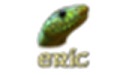 Eric