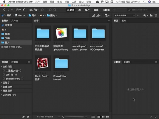 Adobe Bridge CC 2019截图