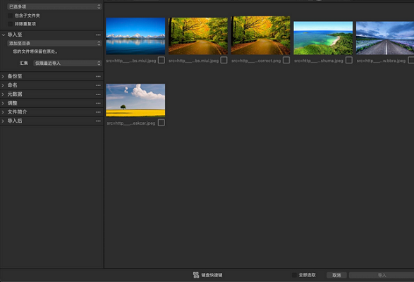 Capture One 22 Enterprise截图