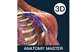 解剖大师