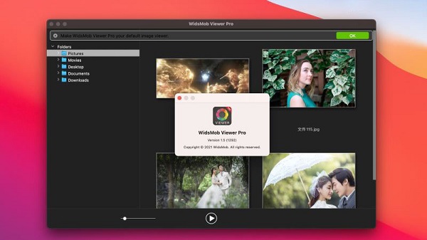 WidsMob Viewer Pro截图