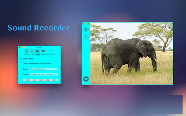 Pro Recorder截图
