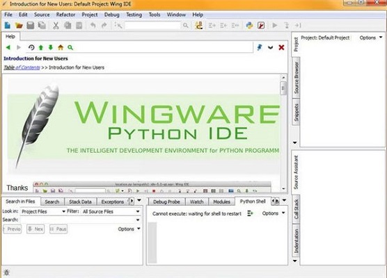 Wing IDE Professional截图