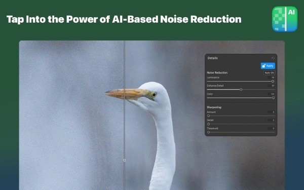 ON1 NoNoise AI截图