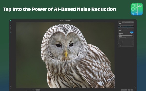 ON1 NoNoise AI截图