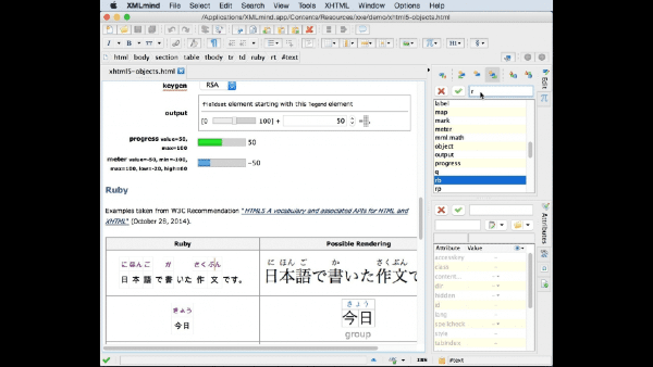 XMLmind XML Editor For Mac截图