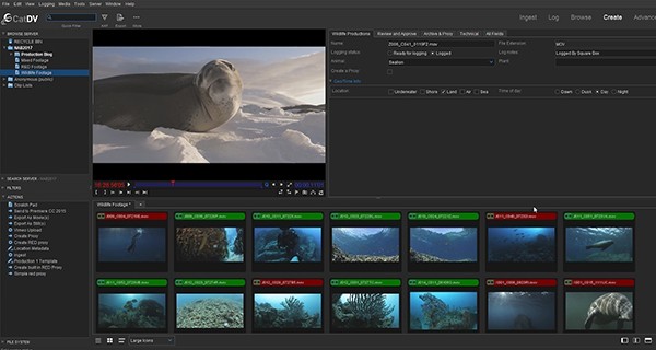 CatDV Pro For Mac截图