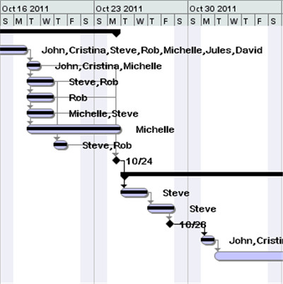 Steelray Project Viewer For Mac截图