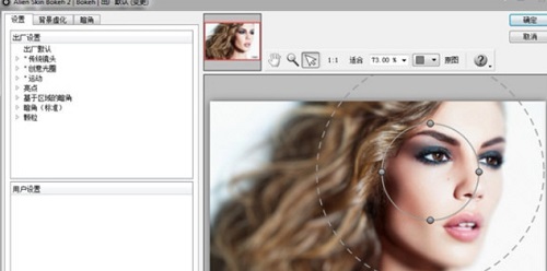 Alien Skin Bokeh For Mac截图
