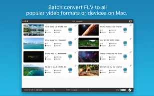 iFunia FLV Converter for Mac截图