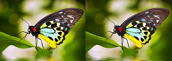 AKVIS AirBrush For Mac截图