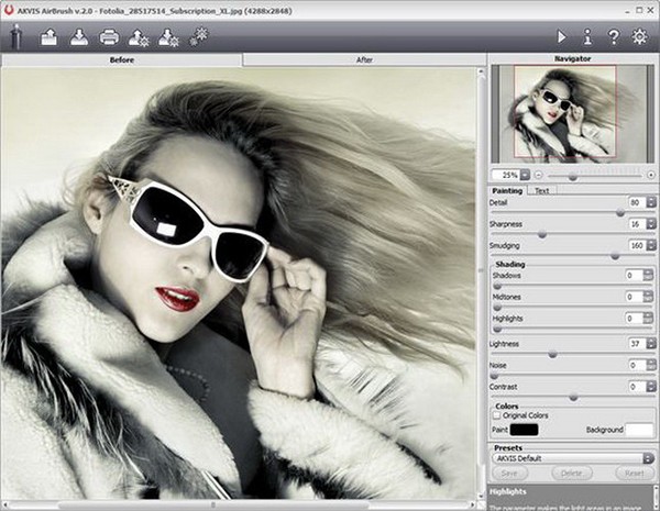 AKVIS AirBrush For Mac截图