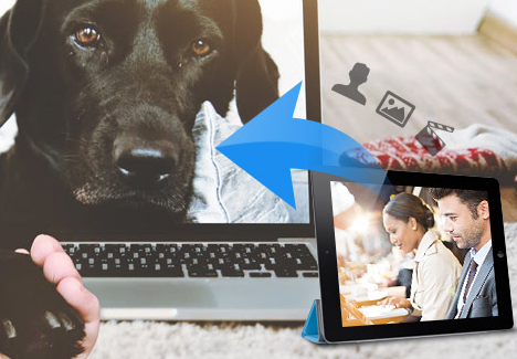 Tipard iPad 2 to Mac Transfer Ultimate截图