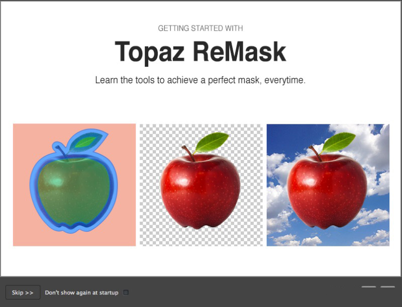 Topaz ReMask截图