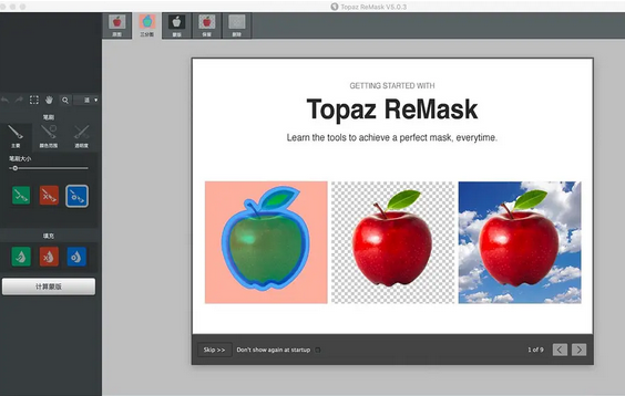 Topaz ReMask截图