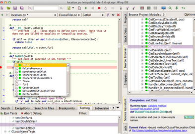 Wing IDE 101 For Mac截图