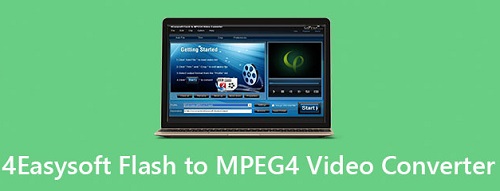 4Easysoft  Flash to MPEG4 Video Converter截图