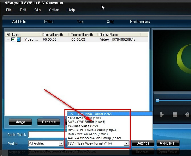 4Easysoft SWF to FLV Converter截图