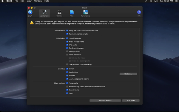 OnyX For Mac OS X 10.3 (PANTHER)截图