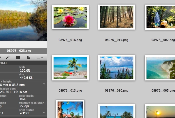 Badia BigPicture for QuarkXPress For Mac截图