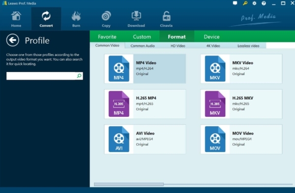 Leawo DVD Ripper for Mac截图