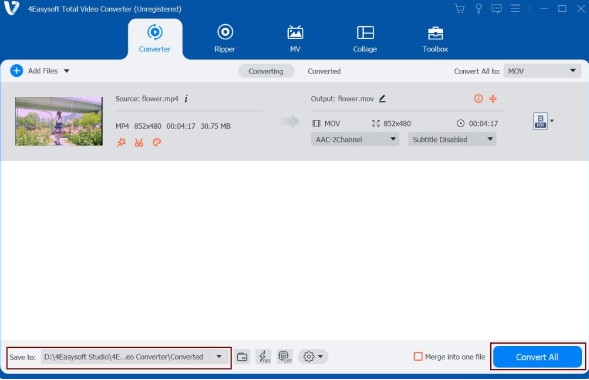 4Easysoft Mac TS to AVI Converter截图