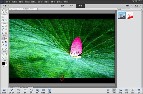 Adobe Photoshop Elements Mac截图