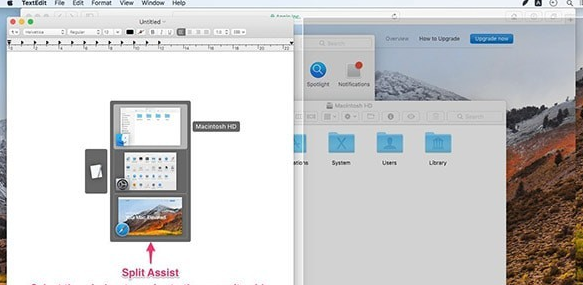 1Piece for Mac截图