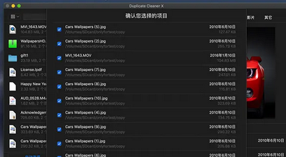 Duplicate Cleaner X Mac截图