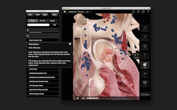 Heart Pro III for mac截图