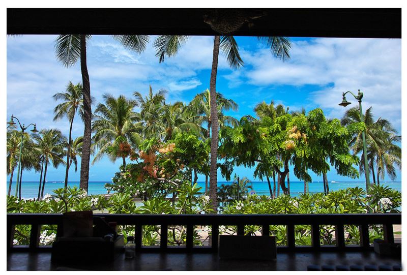 SILKYPIX Developer Studio Pro 11 MAC截图