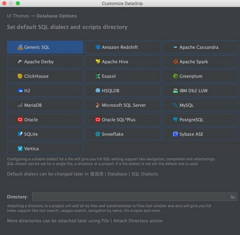 JetBrains DataGrip 2021 Mac截图