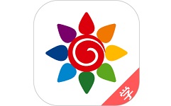 阳光美学