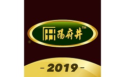 阳府井宴天下