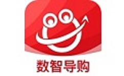 数智导购